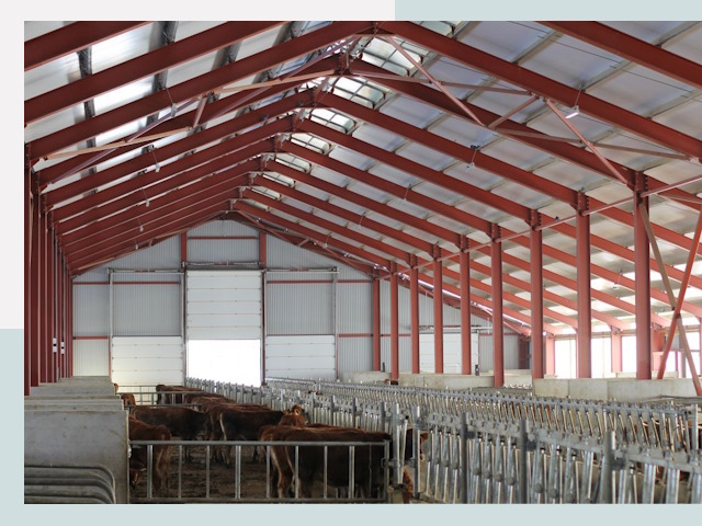 Строительство коровников в Красногорске