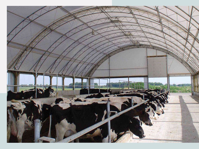 Тентовые коровники в Красногорске